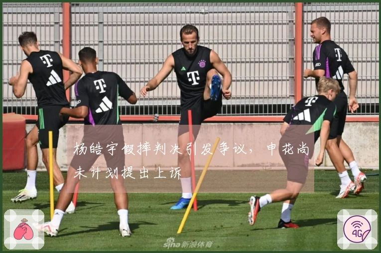 杨皓宇假摔判决引发争议，申花尚未计划提出上诉