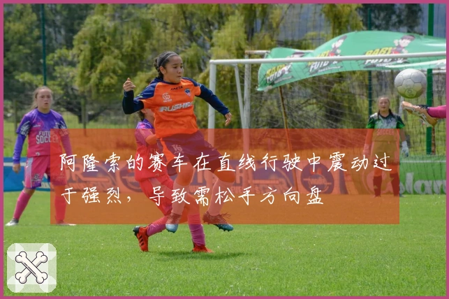 阿隆索的赛车在直线行驶中震动过于强烈，导致需松手方向盘