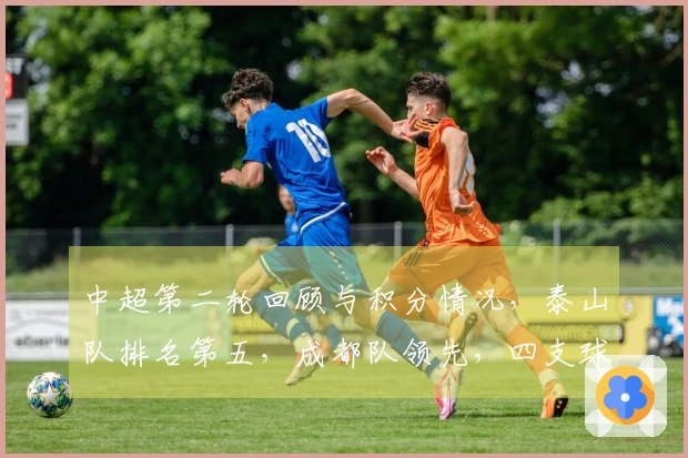 中超第二轮回顾与积分情况，泰山队排名第五，成都队领先，四支球队遭遇连败